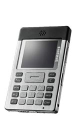 Samsung P300