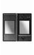 DS Lite