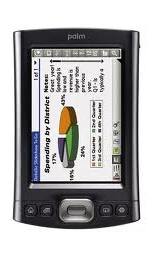 Palm Tungsten TX