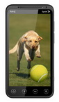 HTC EVO 3D